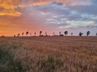 10 person holiday home in Roslev-By Traum - 2