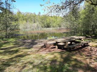 5 star holiday home in Ålbæk - 3