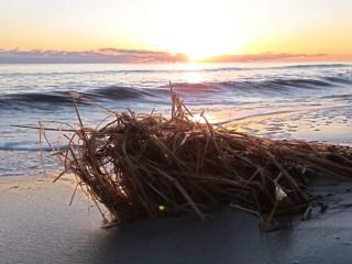 4 person holiday home in Hals-By Traum - 4