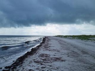 5 star holiday home in Læsø - 1