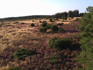 5 star holiday home in Hadsund - 3