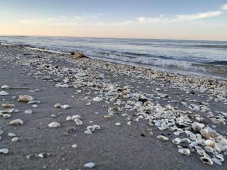 Tranquil Farm Annex - By Traum Ferienwohnungen - 6