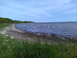 4 person holiday home in Karrebæksminde - 1