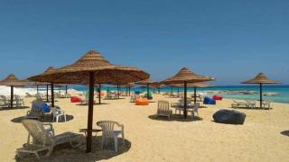 ستيلا هايتس - 3