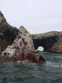 HOSPEDAJE WELCOME PARACAS peru - Paracas - 1