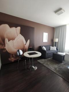 Apartament prywatny 2-pokojowy Diva Hotel - 7