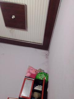 Apek - 0