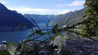Sweet Home - Faggeto Lario - 5