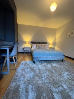 One bedroom basement flat - 1