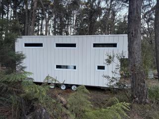Big Tiny Medlow - 8