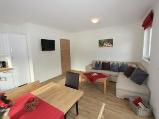 Apartment in Aschau near Ski Slopes - 2
