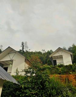 Tribano vattavada - 7