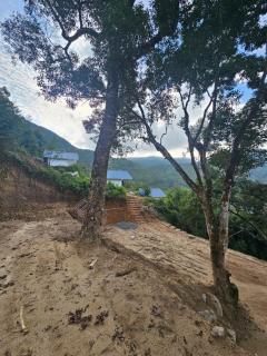 Tribano vattavada - 2