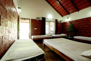 Rainy Cloud Homestay - 1km Falls, Coffee Estate, Campfire, Home Food - 5