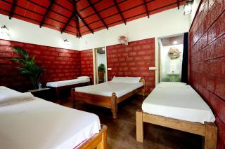 Rainy Cloud Homestay - 1km Falls, Coffee Estate, Campfire, Home Food - 3