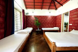 Rainy Cloud Homestay - 1km Falls, Coffee Estate, Campfire, Home Food - 4