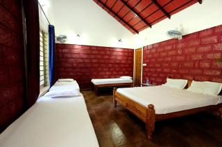 Rainy Cloud Homestay - 1km Falls, Coffee Estate, Campfire, Home Food - 2