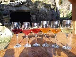 Glamping Machakhela 2 - 5