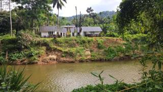 Sinharaja Rainforest Sanctuary - 6