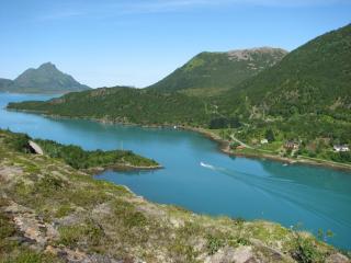 Skjellbogen Hyttegrend - 4