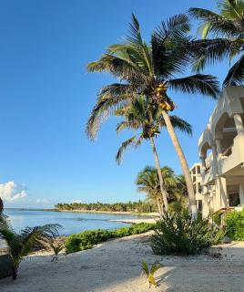 Beachfront Apartment 2-bedroom 2-bathroom in Paamul, Riviera Maya - 0