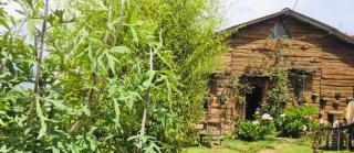 Silonya Forest Edge - 6