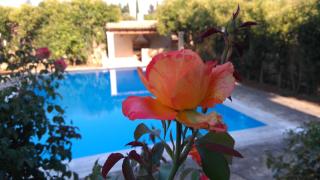 CHA Nanakas Village Inn - Corfu-stad - 3