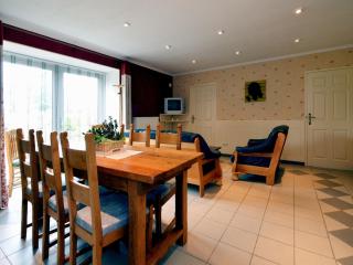 Spacious Villa with Charm - 1