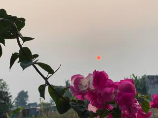 Cu Chi Boutique Countryside - 1