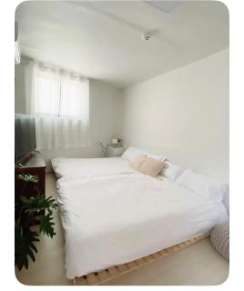 20평 투룸, 동대문역,혜화역 도보10분,DDP, 광장시장,명동,경복궁,넷플리스,스마트티비 kpop - 8