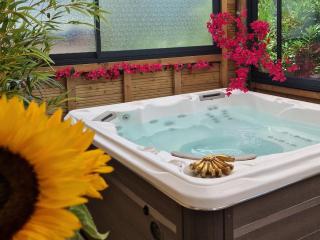 Résidence belle créole I Le Balisier I Maison duplex avec jacuzzi à 15min de Disneyland Paris - 0