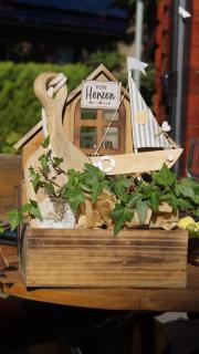 Ferienwohnung FeWo Plaggenburg- die Kleine große - 8