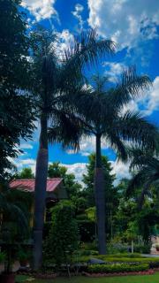 Amritvan Farms - Noida - 6