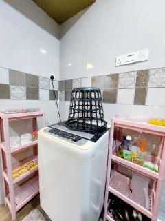 fz north silibin - 8