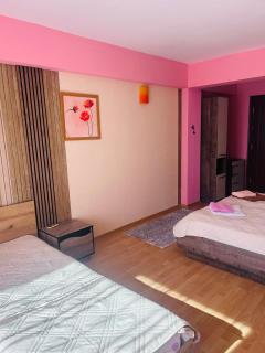 Apartments for guests "Einstein" - Goldstrand - 1