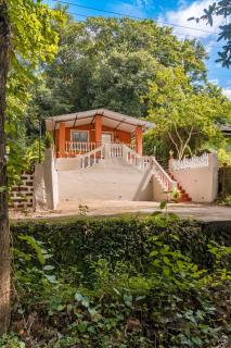 The Treehouse - 9