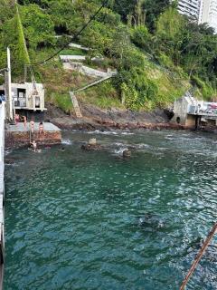 Studio-Apartment Center Pool Free Parking - 2