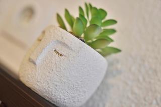 Les Deux Estrades Confort, Panache et Netflix - Cholet - 5