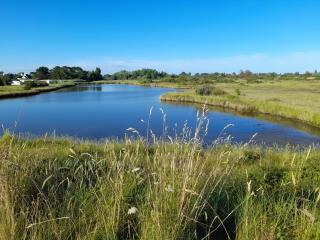 La Terrasse Suspendue, proche des plages - 5