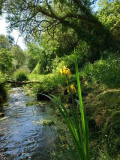 La Terrasse Suspendue, proche des plages - 4