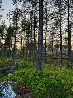Cozy Sauna Apartment by Ski Trails, Rovaniemi - 8