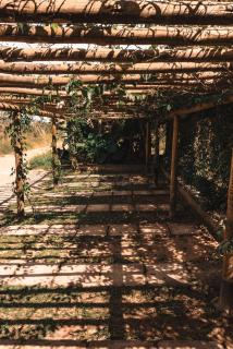 Espaço Canela-de-Ema - 7