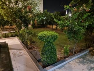 Elegance Abounds - 3