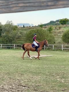 La Dimora di Armida - 1