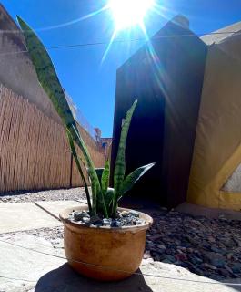 Tinku Huasi Domos Suite - Tilcara - 8