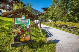 Vordersattlegghof - 9