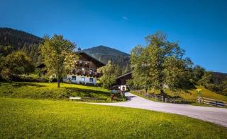 Vordersattlegghof - 8
