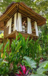 Water to Forest Ecolodge - Loboc - 6