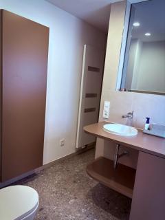 Rebenglück in Göcklingen - 1