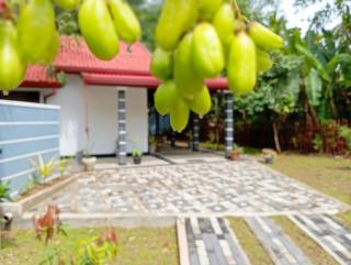 Viheli Green Villa - 9
